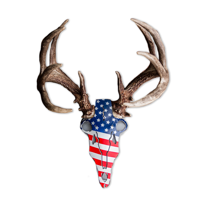 America Buck Antler Mount