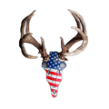 America Buck Antler Mount