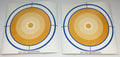 BT222 Paper Target Set