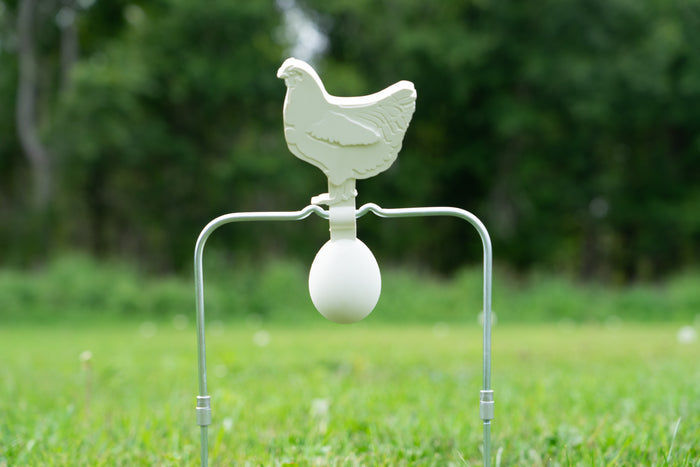 Chicken & Egg