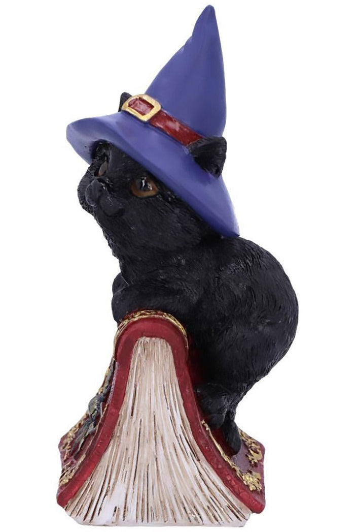 Hocus Witches Familiar Black Cat and Spellbook Figurine - toys - VampireFreaks - Nemesis Now