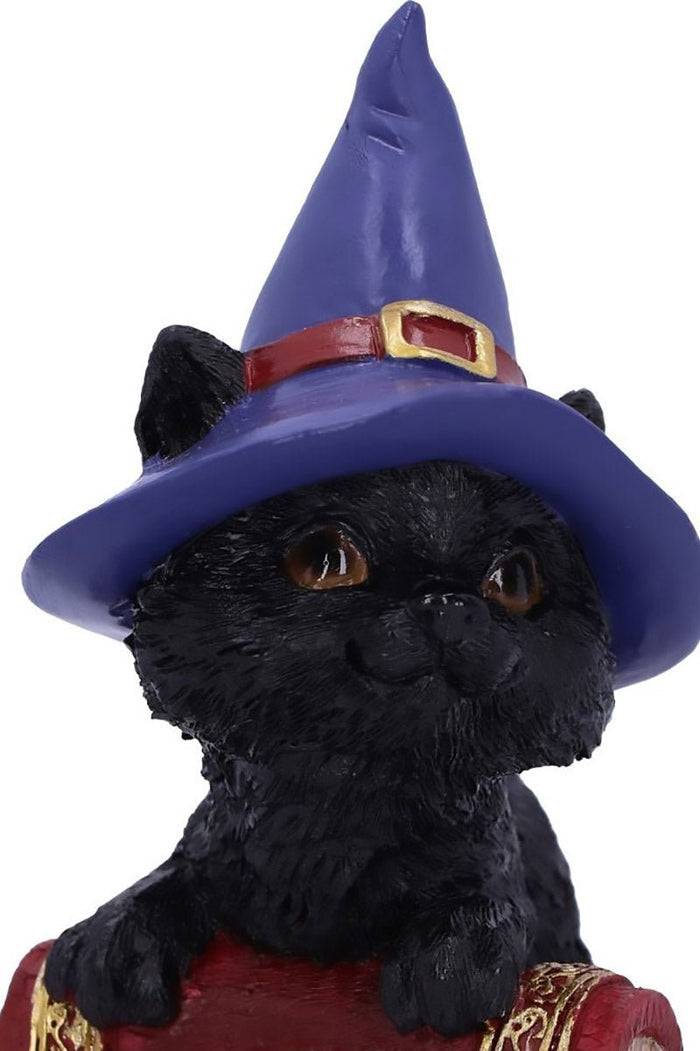Hocus Witches Familiar Black Cat and Spellbook Figurine - toys - VampireFreaks - Nemesis Now