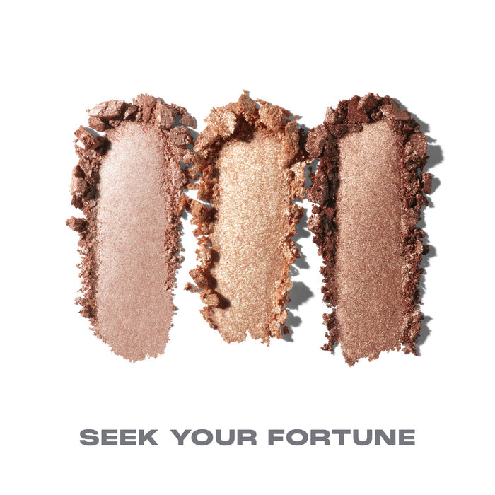 {Seek Your Fortune}