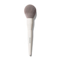 Morphe M161 Large Rounded Powder Brush with cream handle and large rounded gray-taupe synthetic bristles, MORPHE engraved on shaft.