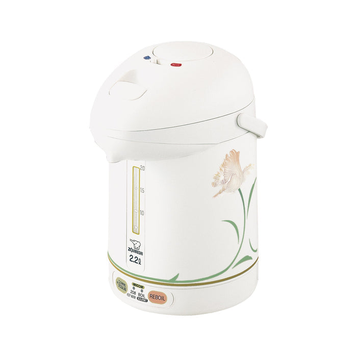 Micom Super Boiler CW-PZC22/30