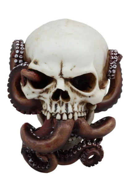 Octopus Skull