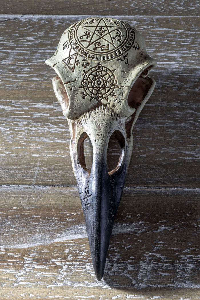 Omega Raven Skull