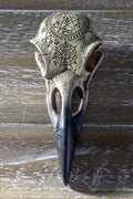 Omega Raven Skull