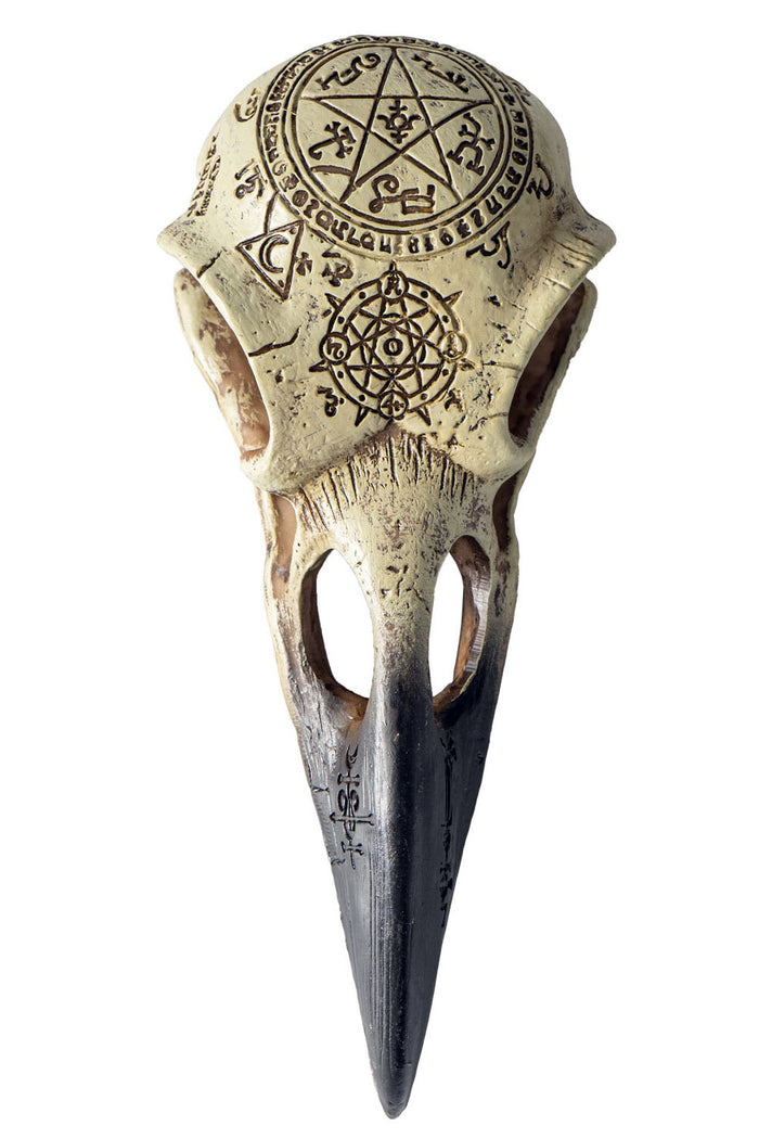Omega Raven Skull