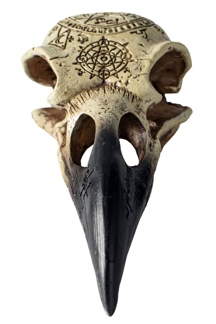 Omega Raven Skull