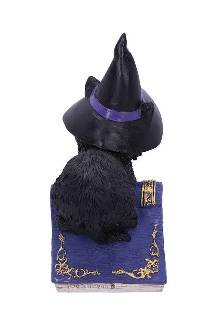 Pocus Black Cat Witch and Spellbook Figurine