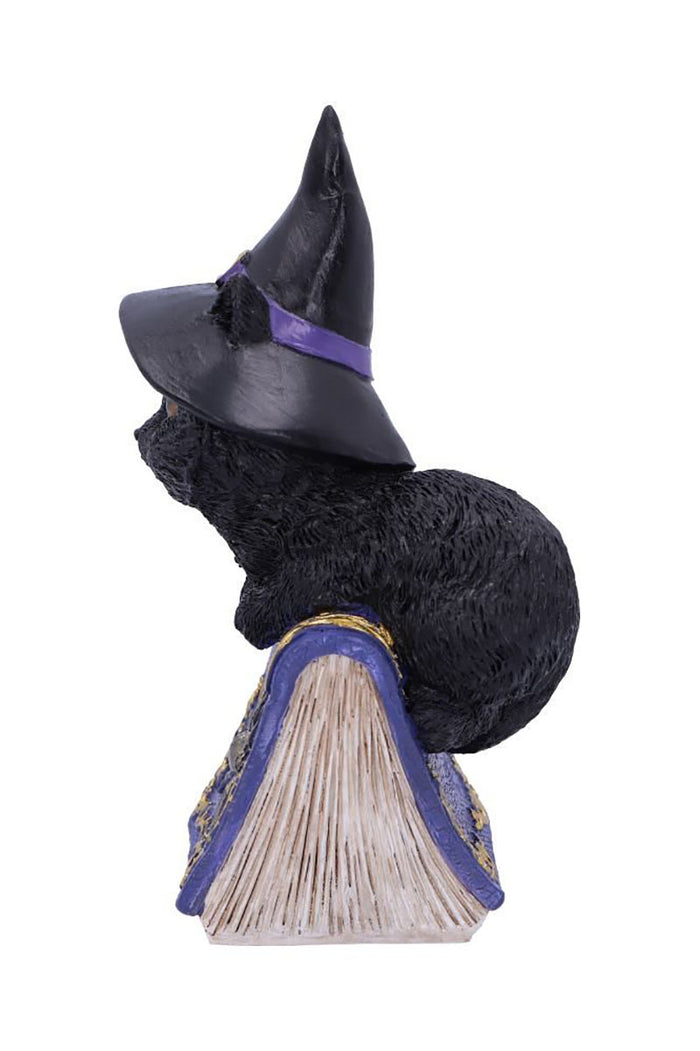 Pocus Black Cat Witch and Spellbook Figurine