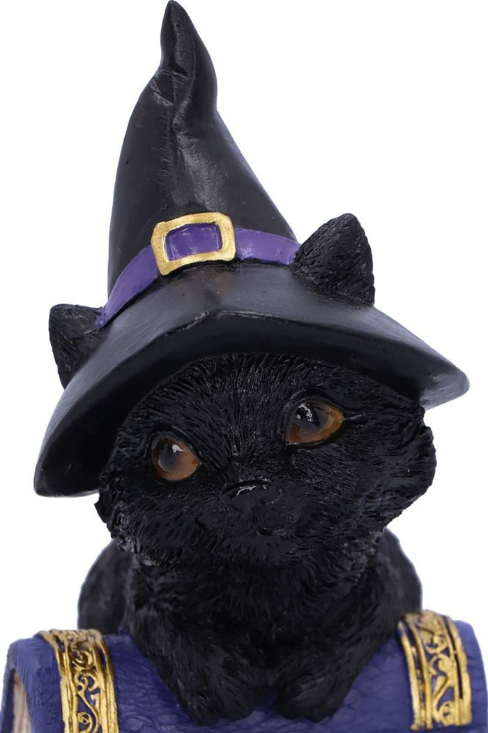 Pocus Black Cat Witch and Spellbook Figurine