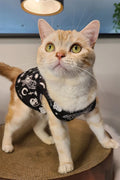 Purr Off Pet Vest
