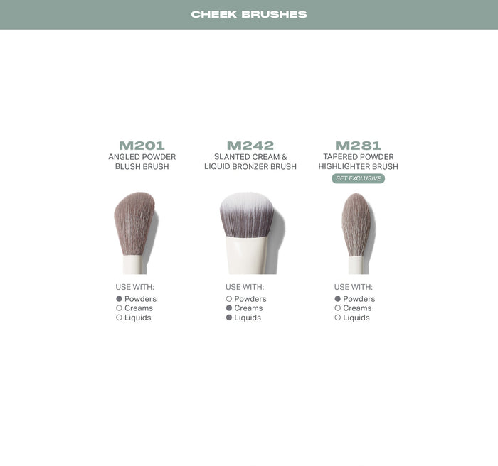 Ready Set Pro 16 Piece Face Eye Brush Set cheek brushes infographic featuring M201 Angled Powder Blush Brush, M242 Slanted Cream & Liquid Bronzer Brush, and M281 Tapered Powder Highlighter Brush (Set Exclusive), each with Use With: Powders, Creams, Liquids callouts.