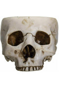 A hand-painted, realistic design skull bowl made of cold-cast resin, with detailed features resembling a human skull including eye sockets and teeth.