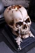 Tears of Time Wax Tears Tealight Holding Skull